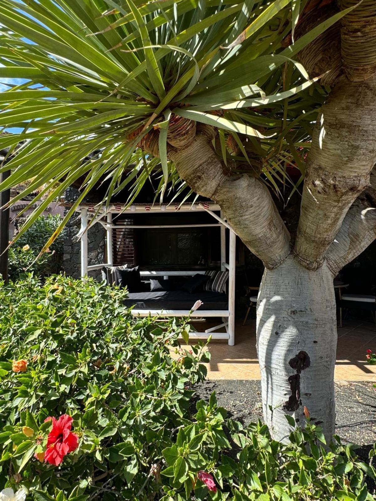 Castillo Lanzarote Villa Bailey - Luxury Villa - Pet Friendly With Heated Pool La Asomada  Екстериор снимка