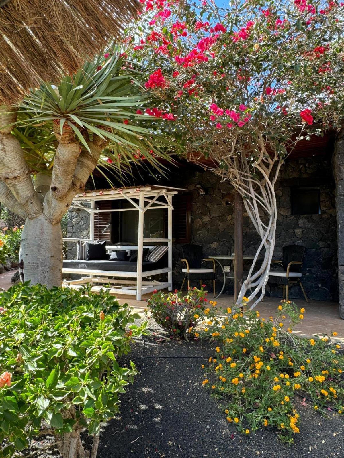 Castillo Lanzarote Villa Bailey - Luxury Villa - Pet Friendly With Heated Pool La Asomada  Екстериор снимка